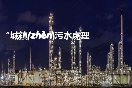 “城鎮(zhèn)污水處理行業(yè)：綠色守護者，清潔家園的守護神”
